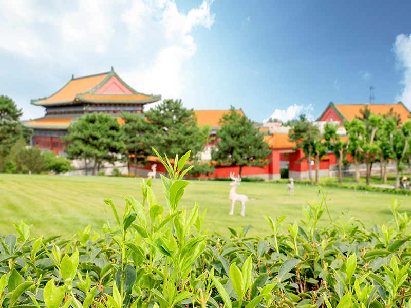 北京思亲园墓地价格是多少（如何详细了解墓地信息）